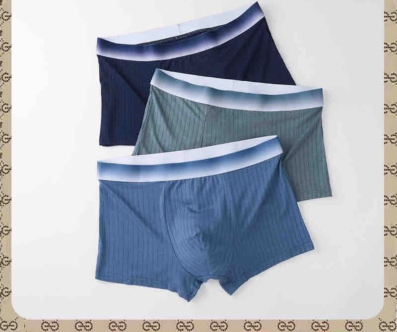 3 in 1 gradient band boxers